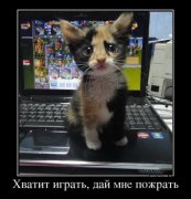 1340049150_demotivators_31[1].jpg