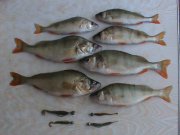 DSC00488.JPG