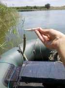 IMG_20120702_133244.jpg