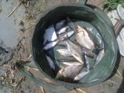 08072012532.jpg