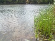 08072012534.jpg