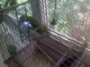 08-07-12_1424.jpg