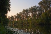 IMG_9388.jpg