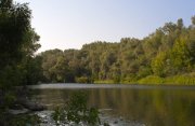IMG_9331.jpg