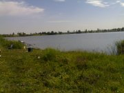 280620101965.jpg