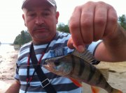 IMG_0603.jpg