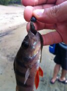 IMG_0612.jpg
