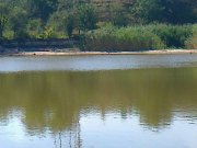 Фото0110.jpg