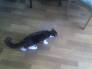 20-07-12_1214.jpg