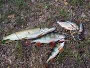20120721_102254.jpg