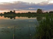 IMG_1024_resize.jpg