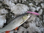 IMG_4128.jpg
