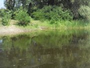 SDC16057.JPG