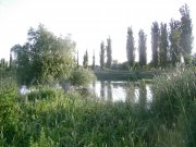 28.07-1.jpg