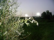 28.07-3.jpg