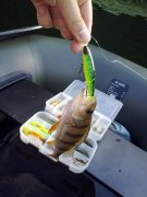 28072012560.jpg