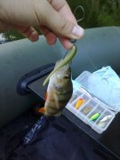 29072012564.jpg