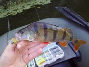 28072012562.jpg