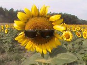 DSC00062.JPG