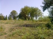 03082012068.jpg