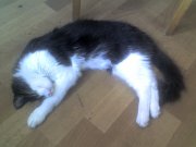 06-08-12_1346.jpg