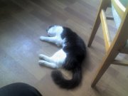 06-08-12_1354.jpg