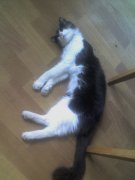 Копия 06-08-12_1357.jpg