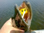 060420121555.jpg