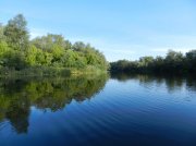 DSCN4913.jpg