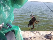 20120811_084937.jpg