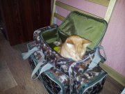 20120812_093753.jpg