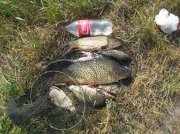 IMG_7499.jpg