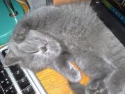 22012012634.jpg
