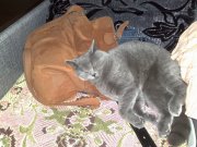 07062012742.jpg