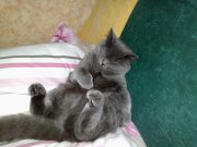 08062012743.jpg