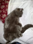 19042012689.jpg