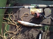 20120818_084750.jpg