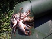 20120818_130916.jpg