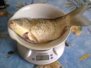20082012624.jpg