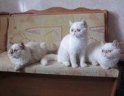 IMG_6559.JPG