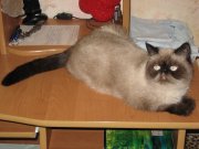 IMG_3932.jpg