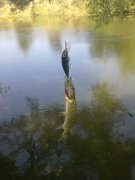 25082012739.jpg