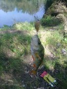 25082012745.jpg