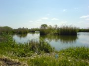 DSC02567.JPG