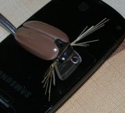 DSCN9575.jpg