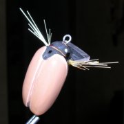 DSCN9579.jpg