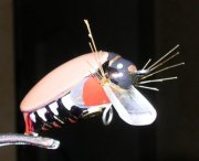 DSCN9580.jpg