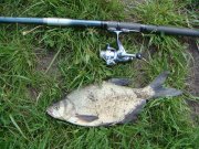 DSC00583.jpg