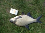 DSC00590.jpg