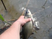 DSC00591.jpg